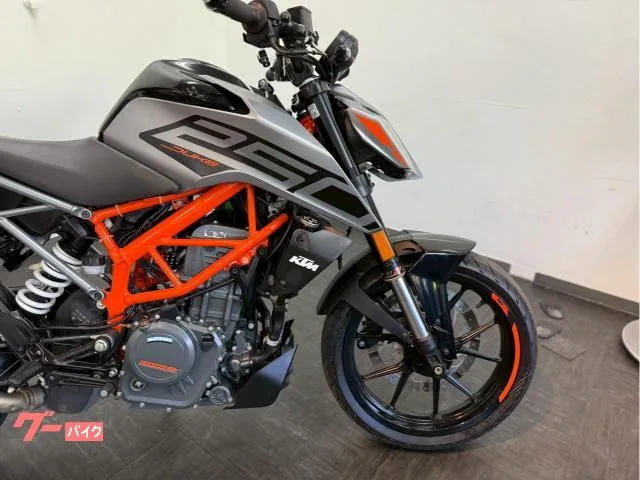 KTM 250 2022 — миниатюра 2