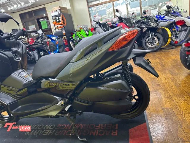 Yamaha X-MAX250 SG70J ETC 2022 — миниатюра 2