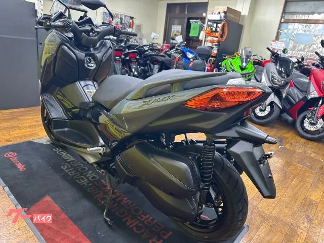 Yamaha X-MAX250 SG70J ETC 2022 — миниатюра 4