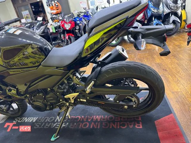 Kawasaki Z250 2BK-EX250P 2022 — миниатюра 2