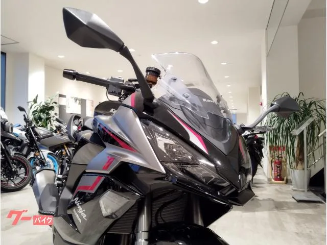 Kawasaki Ninja 1000 SX 2025 — миниатюра 5
