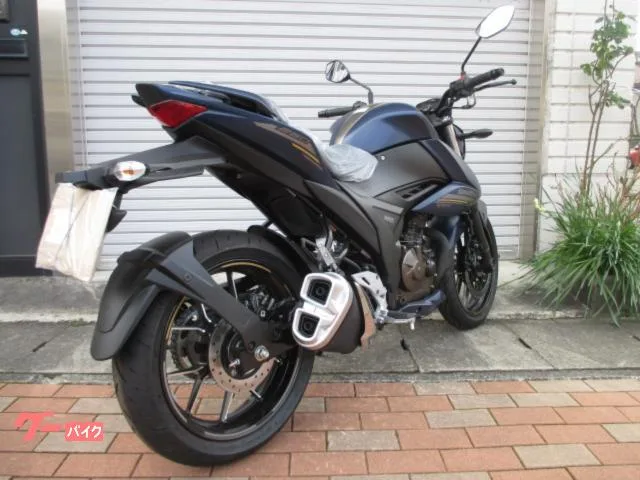 Suzuki GIXXER 250 2024 — миниатюра 3