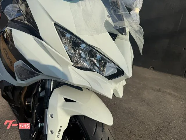Kawasaki Ninja ZX-4R SE 2026 — миниатюра 2