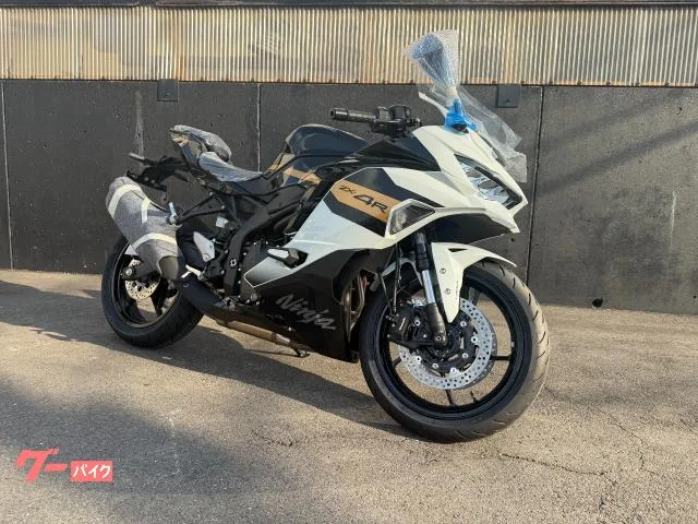 Kawasaki Ninja ZX-4R SE 2026 — фото 1, купить с доставкой в Москву