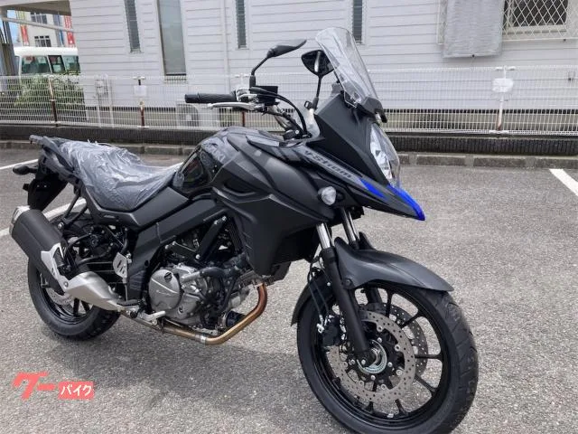 Suzuki V- 650 2025 — фото 1, купить с доставкой в Москву