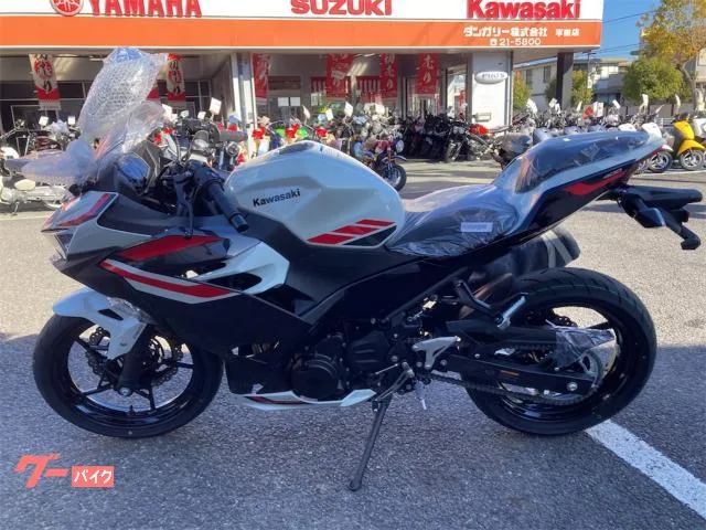 Kawasaki Ninja 400 2026 2026 — миниатюра 2