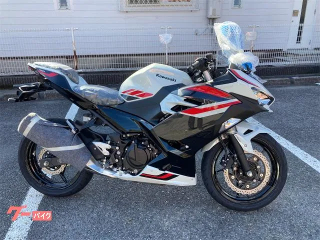 Kawasaki Ninja 400 2026 2026 — миниатюра 3