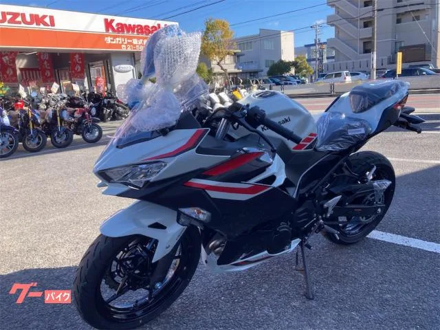 Kawasaki Ninja 400 2026 2026 — миниатюра 4