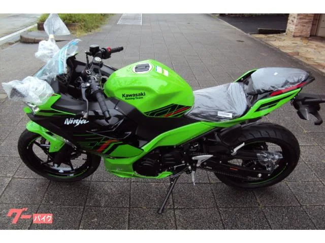 Kawasaki Ninja 250 2024 2024 — миниатюра 3