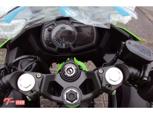 Kawasaki Ninja 250 2024 2024 — миниатюра 5