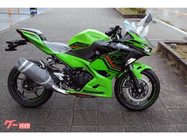 Kawasaki Ninja 250 2024 2024 — фото 1, купить с доставкой в Москву