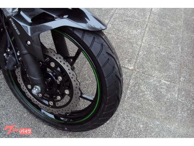 Kawasaki Ninja 250 2024 — миниатюра 2
