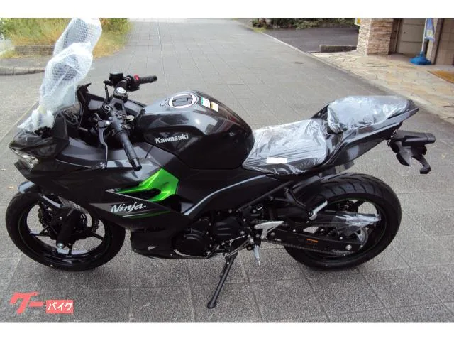 Kawasaki Ninja 250 2024 — миниатюра 3