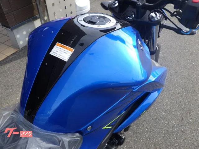 Suzuki GIXXER 150 2024 — миниатюра 3