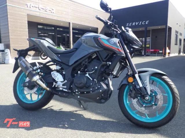 Yamaha MT-25 2023 — фото 1, купить с доставкой в Москву
