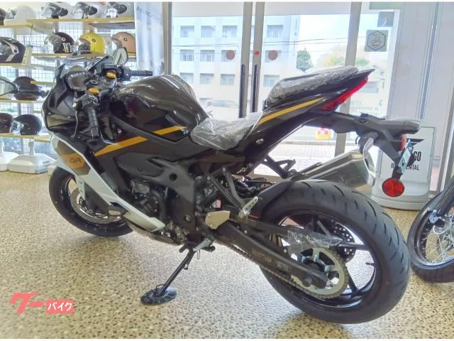 Kawasaki Ninja ZX-4R SE 2026 — миниатюра 4