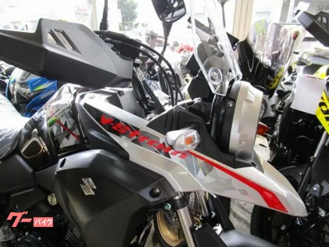 Suzuki V- 250 2022 — миниатюра 3