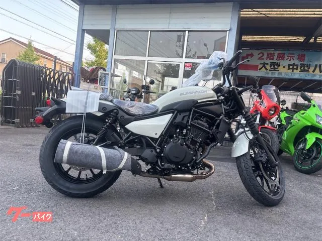 Kawasaki 400SE 2025 — фото 1, купить с доставкой в Москву