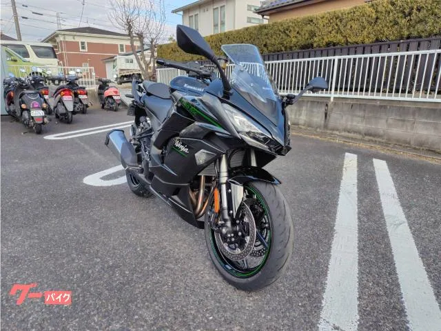 Kawasaki Ninja 1100 SX ETC 2025 — миниатюра 3