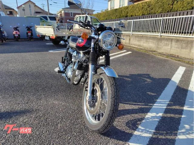Kawasaki W800 ETC2.0 2024 — миниатюра 3