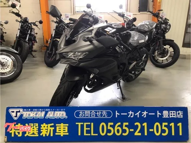 Kawasaki Ninja ZX-4R SE 2025 — миниатюра 2