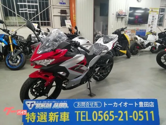 Kawasaki Ninja 250 2026 — миниатюра 5