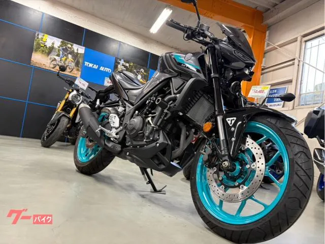 Yamaha MT-25 ABS USB 2024 — миниатюра 3