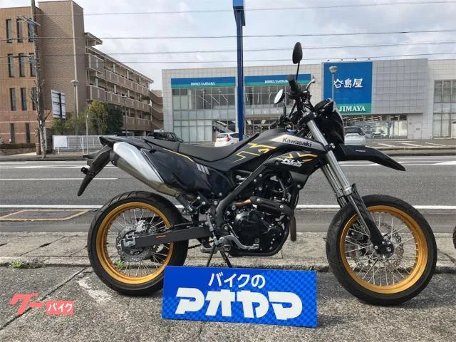 Kawasaki KLX230SM 2023 — фото 1, купить с доставкой в Москву