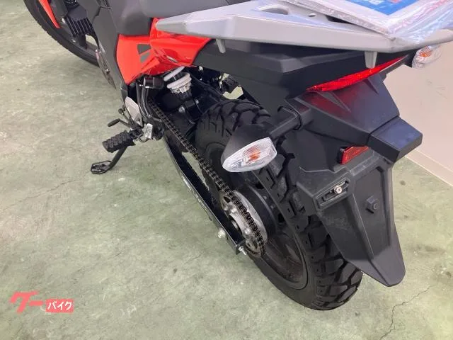 Suzuki V- 250SX 2024 — миниатюра 2