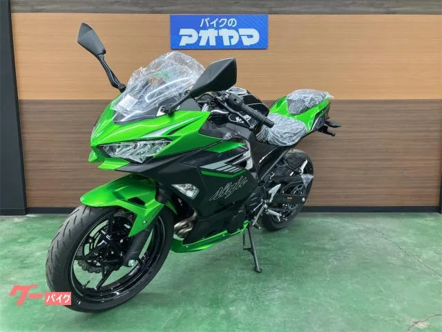 Kawasaki Ninja 400 / 2024 — миниатюра 5