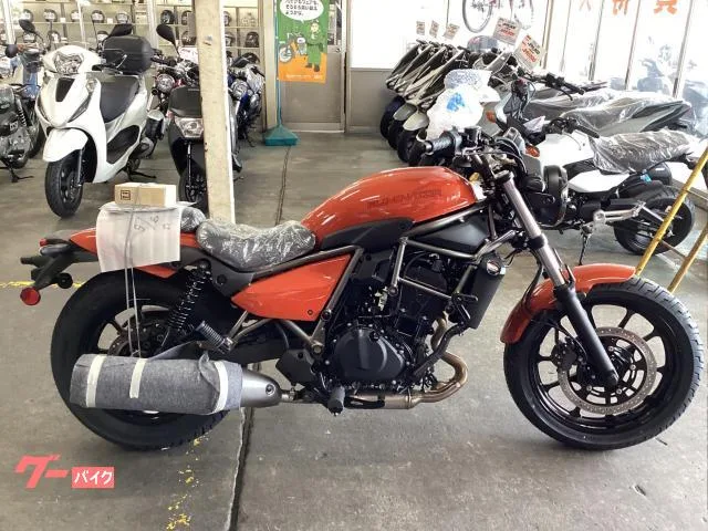 Kawasaki 400 2025 — фото 1, купить с доставкой в Москву