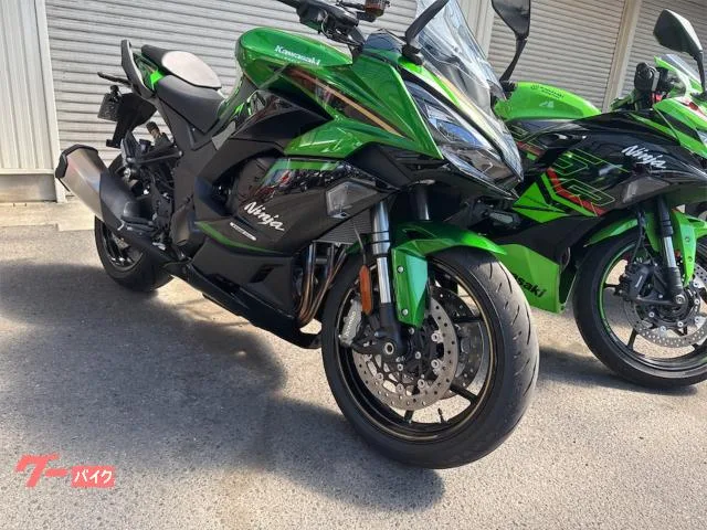 Kawasaki Ninja 1100 SX SE 2025 — миниатюра 2