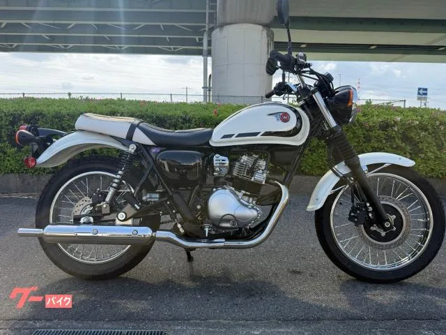 Kawasaki W230 2025 — фото 1, купить с доставкой в Москву