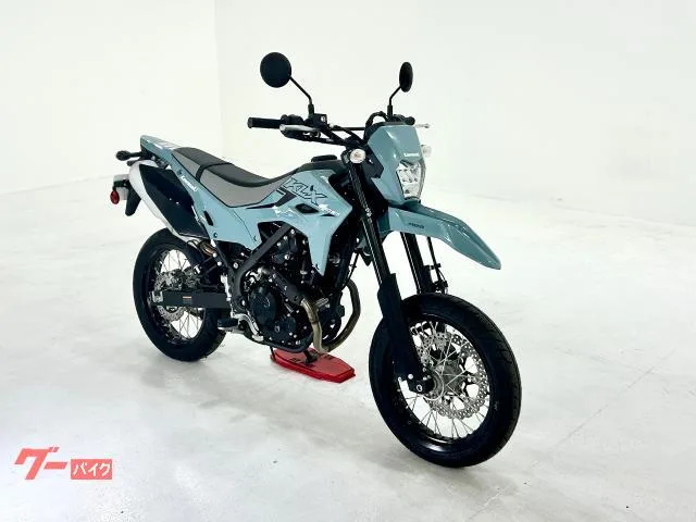Kawasaki KLX230SM KA-C-116-S 2025 — миниатюра 3