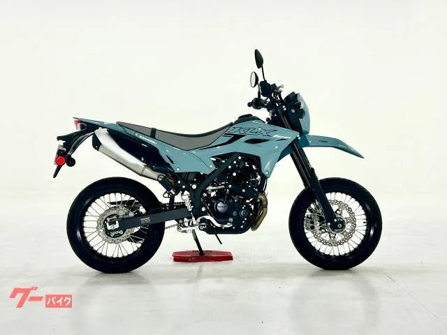 Kawasaki KLX230SM KA-C-116-S 2025 — фото 1, купить с доставкой в Москву