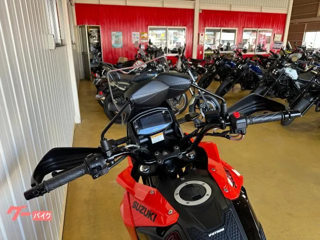 Suzuki V- 250SX TOP 2024 — миниатюра 2