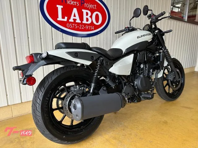 Kawasaki 400SE ETC USB 2026 — миниатюра 3