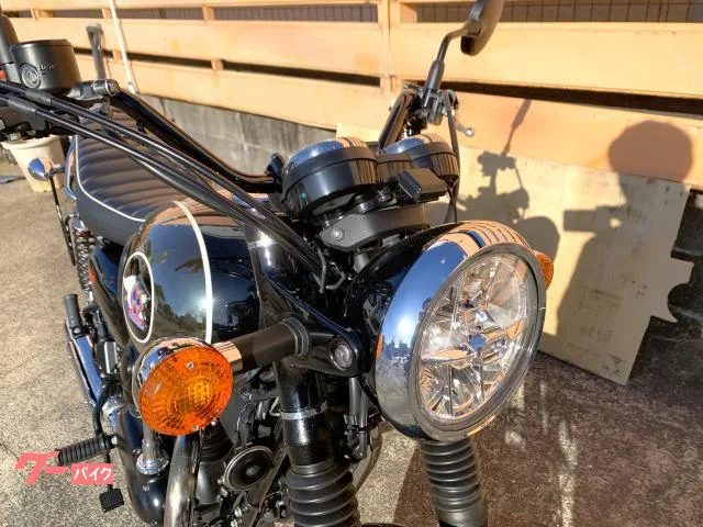 Kawasaki W800 2022 — миниатюра 2