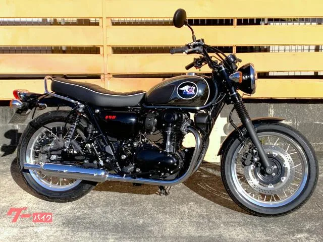 Kawasaki W800 2022 — фото 1, купить с доставкой в Москву