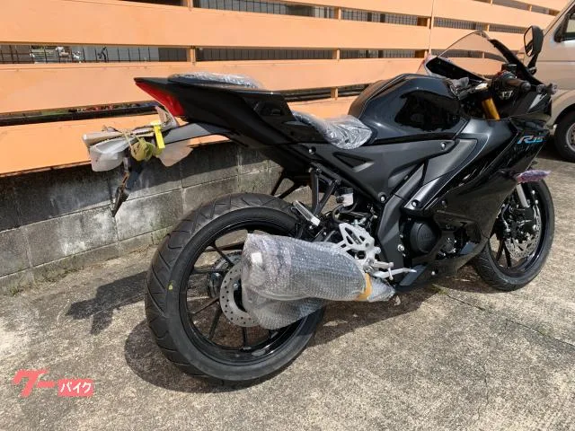 Yamaha YZF-R15 2023 — миниатюра 2