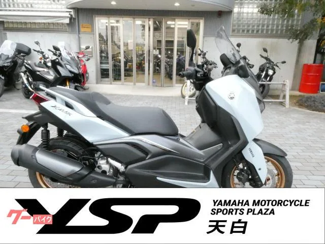 Yamaha X-MAX250 2025 — фото 1, купить с доставкой в Москву