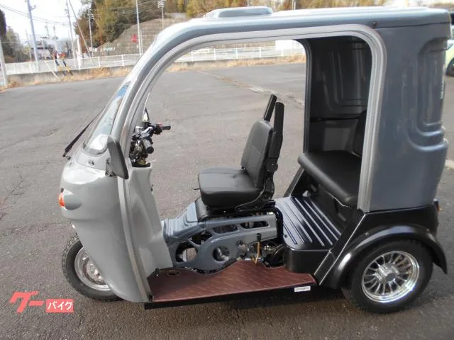 Trike APtrikes250 2025 — миниатюра 4