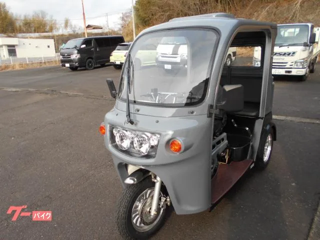Trike APtrikes250 2025 — миниатюра 5