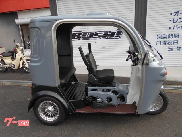Trike APtrikes250 2025 — фото 1, купить с доставкой в Москву