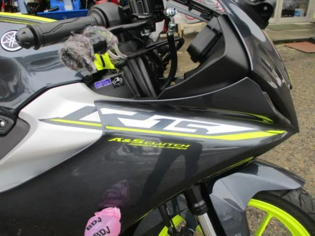 Yamaha YZF-R15 2024 — миниатюра 2