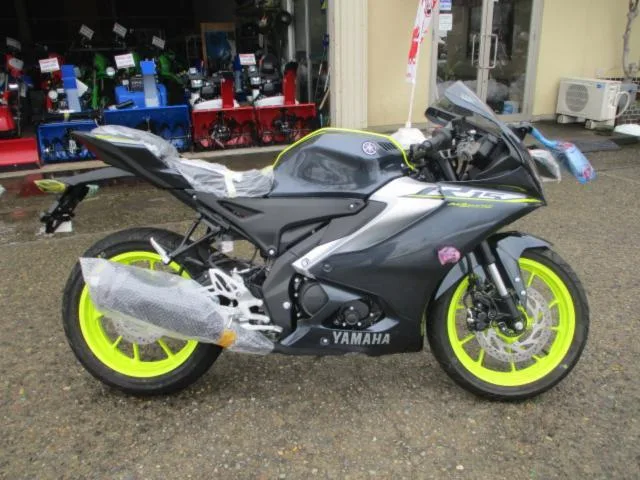 Yamaha YZF-R15 2024 — фото 1, купить с доставкой в Москву