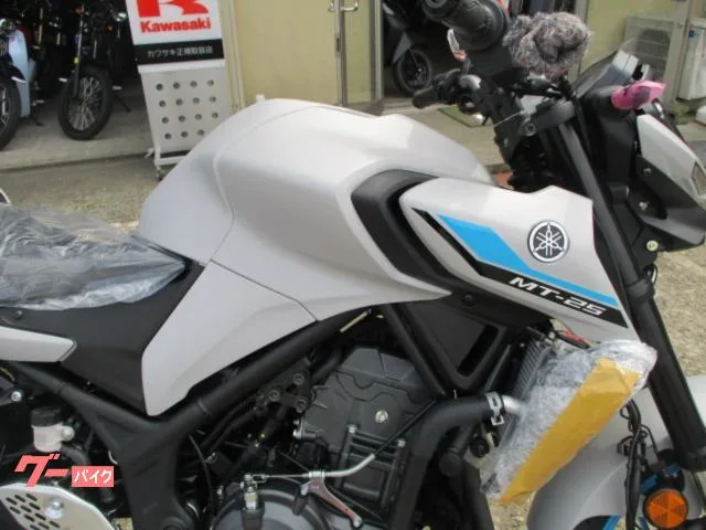 Yamaha MT-25 2026 — миниатюра 2