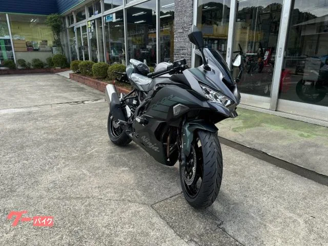 Kawasaki Ninja ZX-4R SE 2025 — миниатюра 2