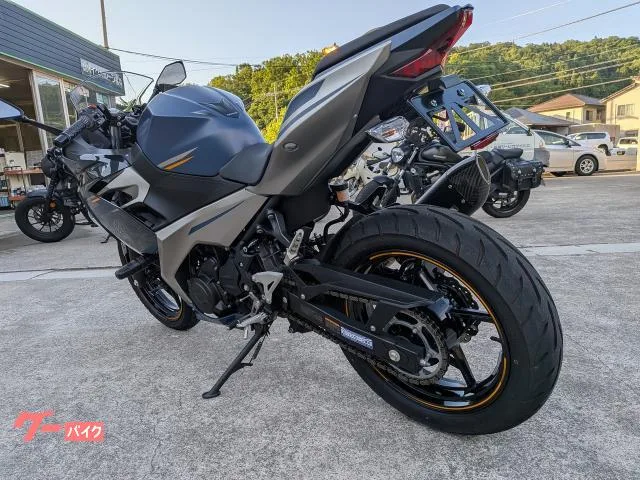 Kawasaki Ninja 250 ETC2.0 CR-1 2023 — миниатюра 4