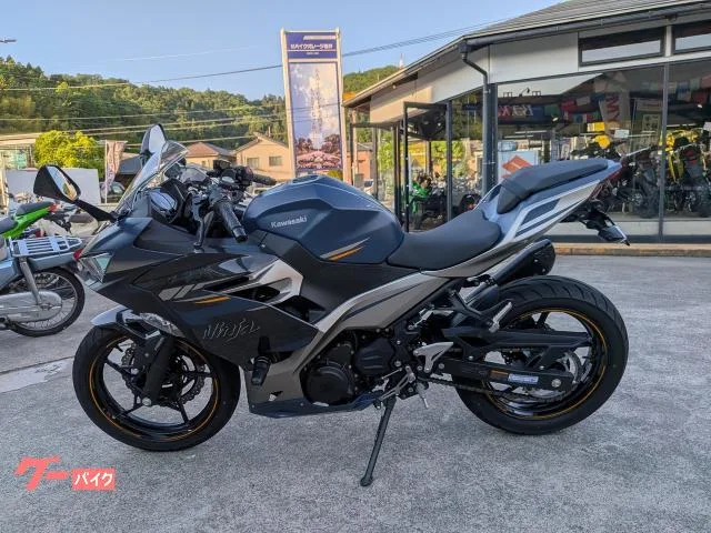 Kawasaki Ninja 250 ETC2.0 CR-1 2023 — миниатюра 5